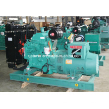 20kw Cummins Diesel Generator Set with Silent Canopy